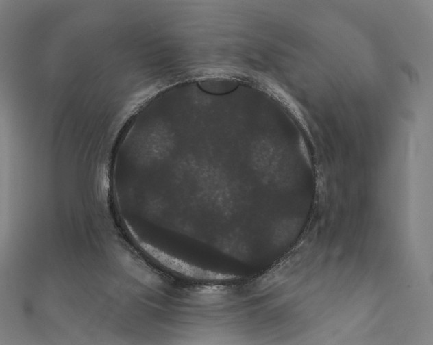 X0000111420059200908101104