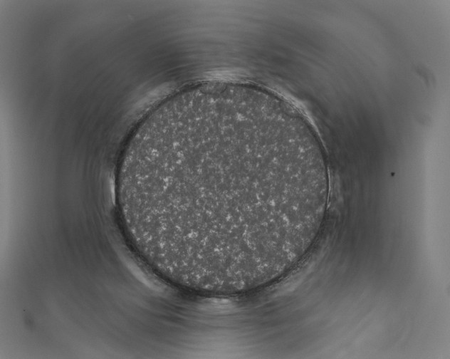 X0000111420061200908101104