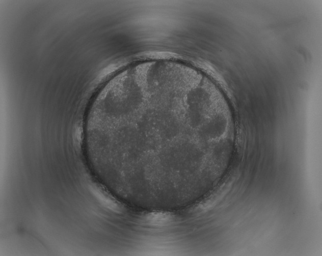X0000111420063200908101104