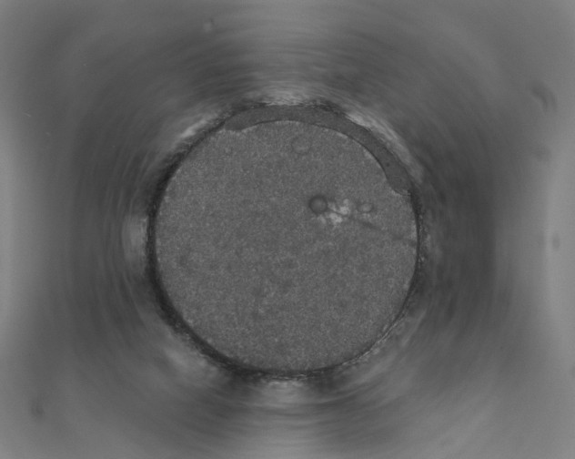 X0000111420066200908101104
