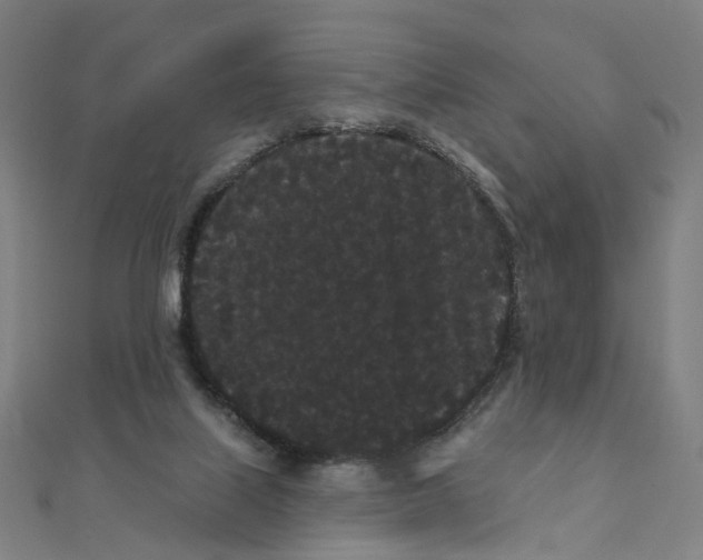 X0000111420067200908101104