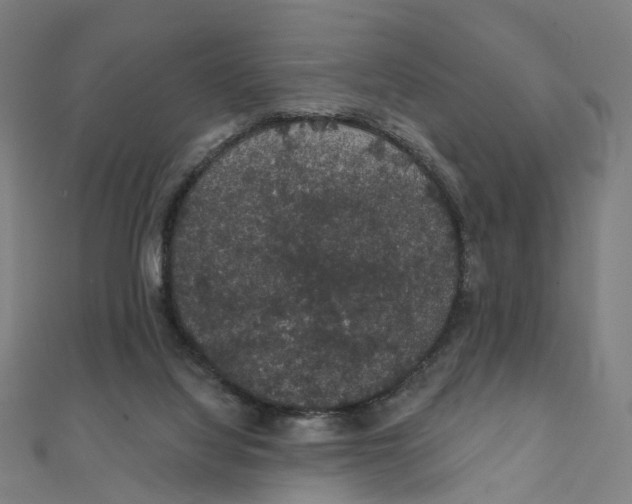 X0000111420068200908101104