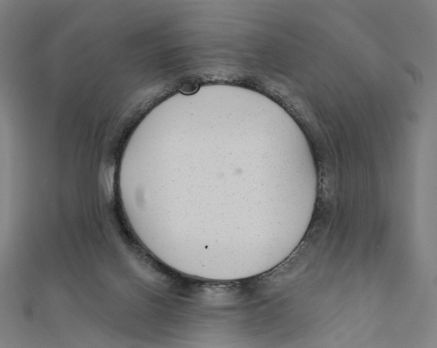 X0000111420070200908101104