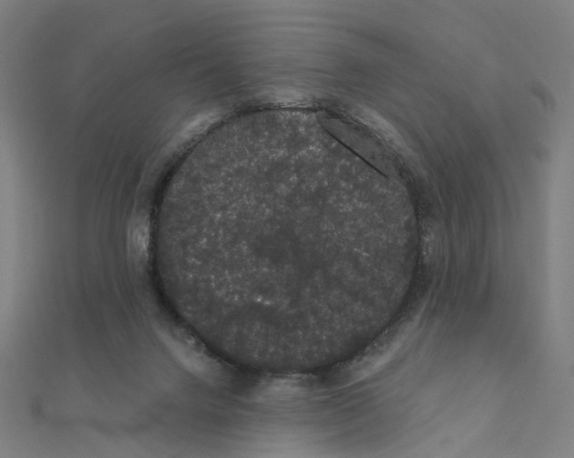 X0000111420072200908101104