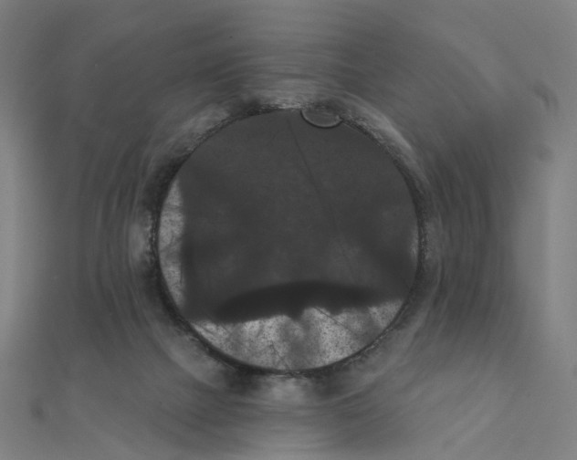 X0000111420073200908101104