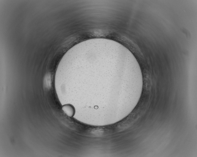 X0000111420075200908101104