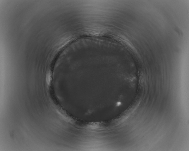 X0000111420076200908101104