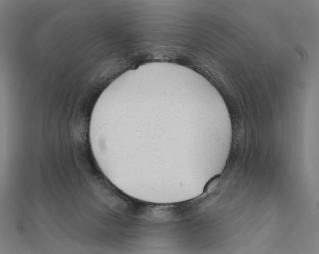 X0000111420078200908101104
