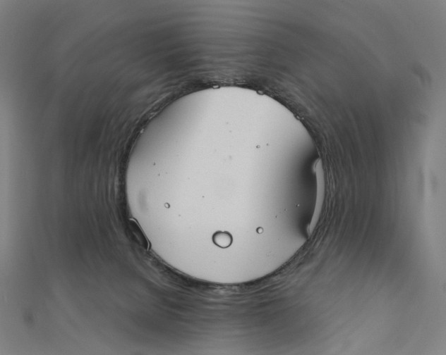 X0000111420080200908101104