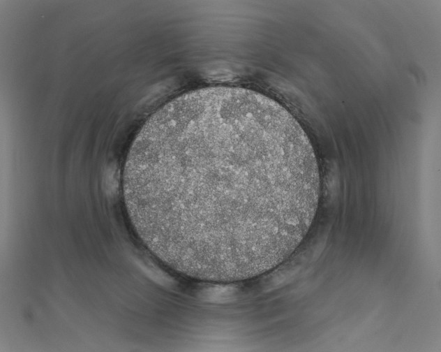 X0000111420081200908101104