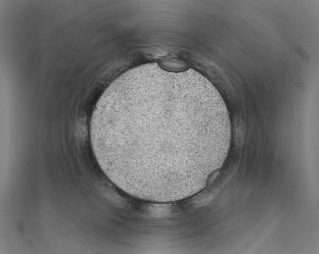 X0000111420085200908101104