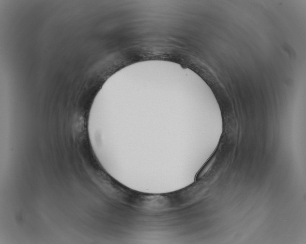 X0000111420087200908101104