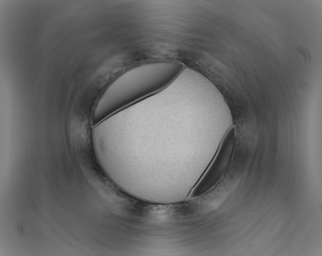X0000111420088200908101104