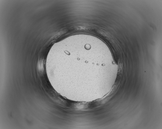 X0000111420094200908101104