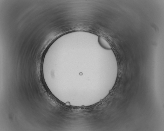 X0000111420098200908101104
