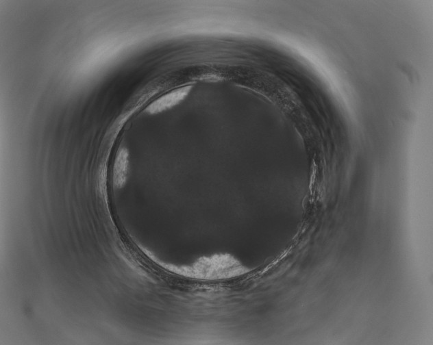 X0000111420099200908101104