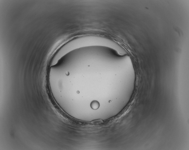 X0000111420101200908101104