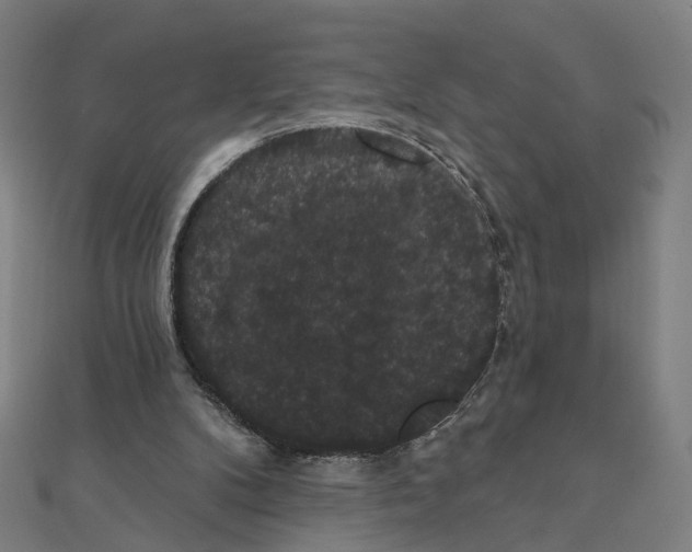 X0000111420104200908101104