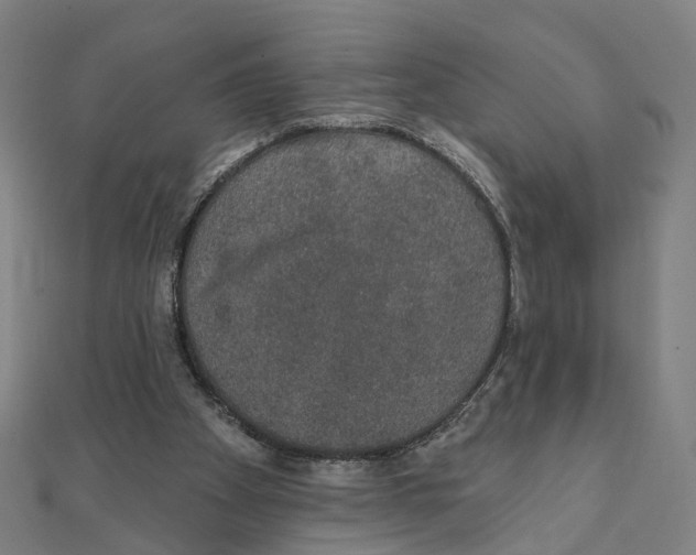 X0000111420105200908101104
