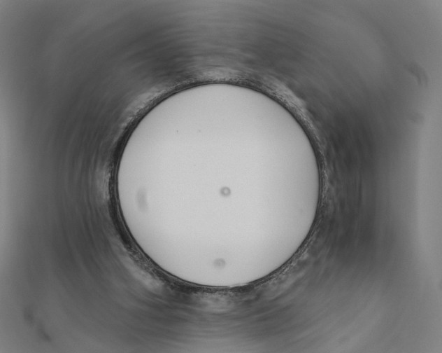 X0000111420106200908101104