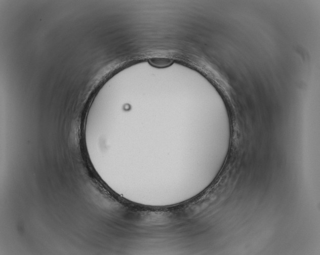 X0000111420107200908101104