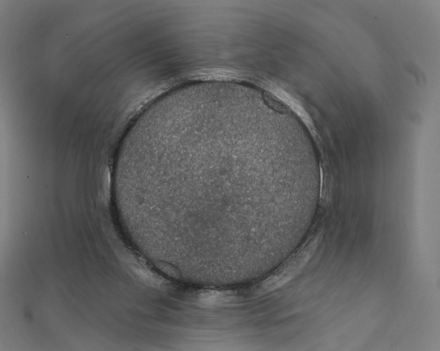 X0000111420109200908101104