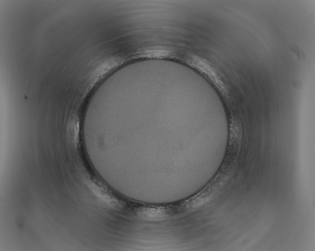 X0000111420110200908101104