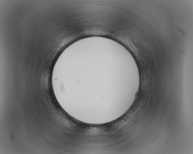 X0000111420111200908101104