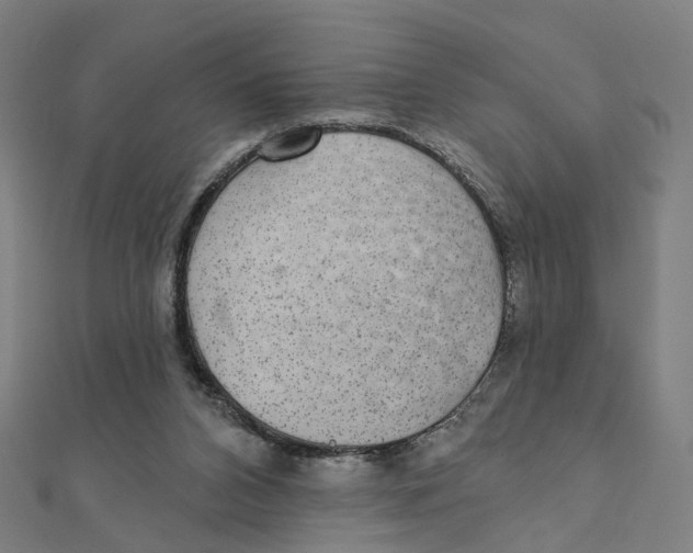 X0000111420112200908101104