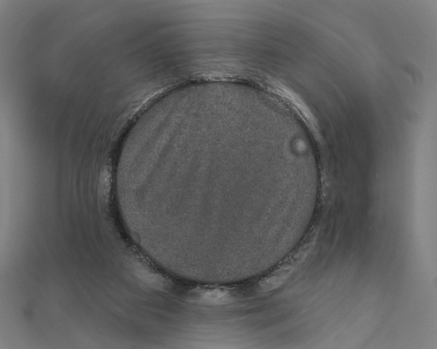 X0000111420113200908101104