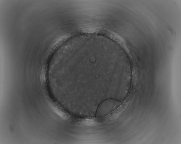 X0000111420114200908101104