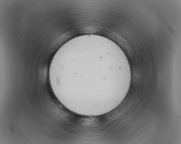 X0000111420118200908101104