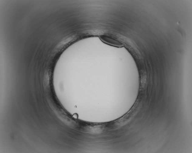 X0000111420120200908101104