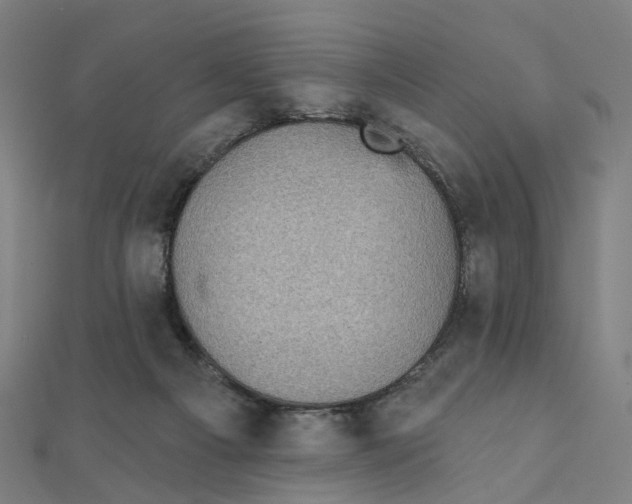 X0000111420121200908101104