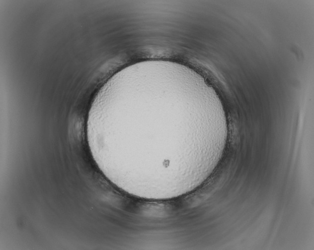 X0000111420123200908101104