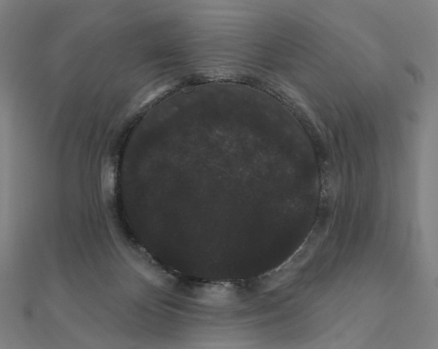 X0000111420124200908101104