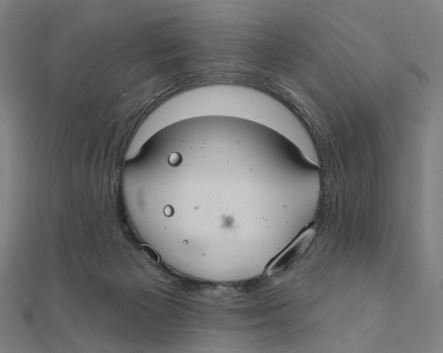 X0000111420125200908101104