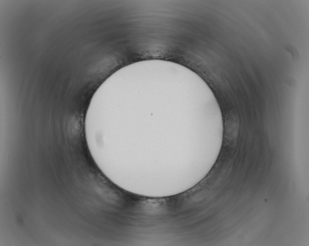 X0000111420126200908101103
