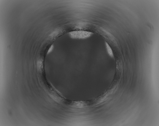 X0000111420127200908101103