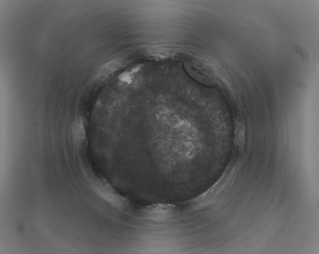 X0000111420128200908101103