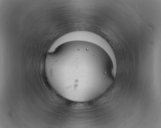 X0000111420129200908101103