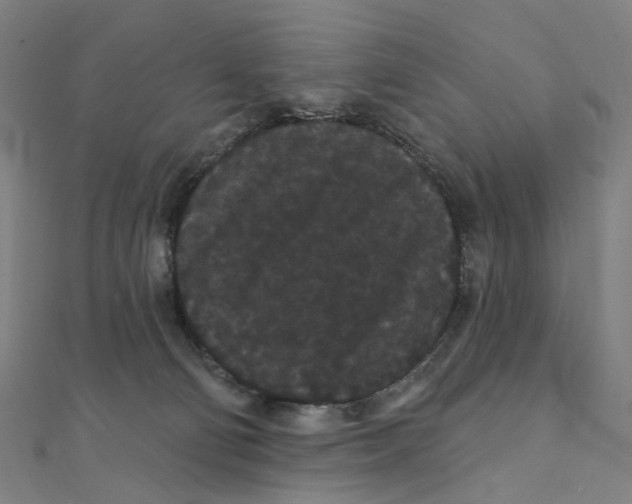 X0000111420130200908101103