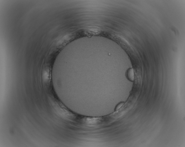 X0000111420134200908101103