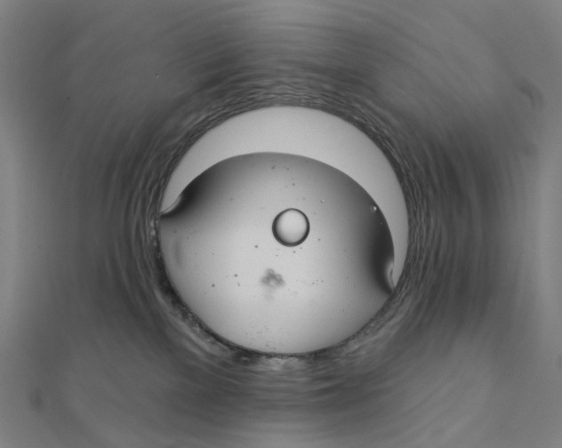 X0000111420137200908101103