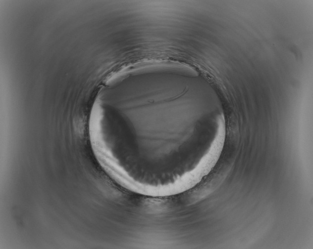 X0000111420139200908101103