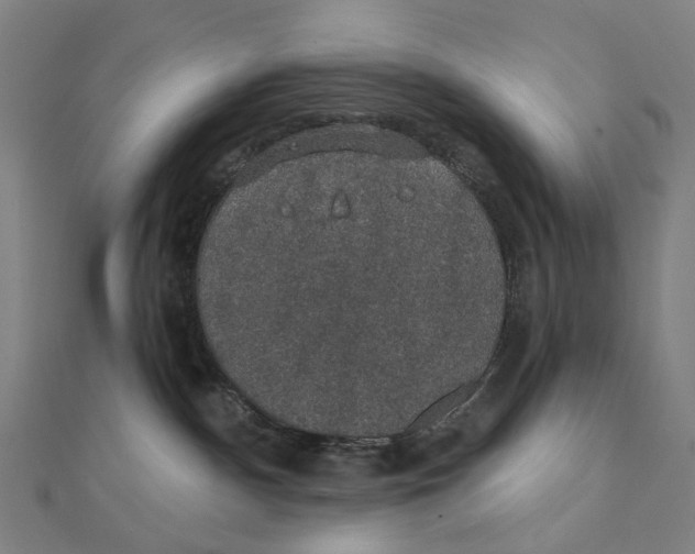 X0000111420140200908101103