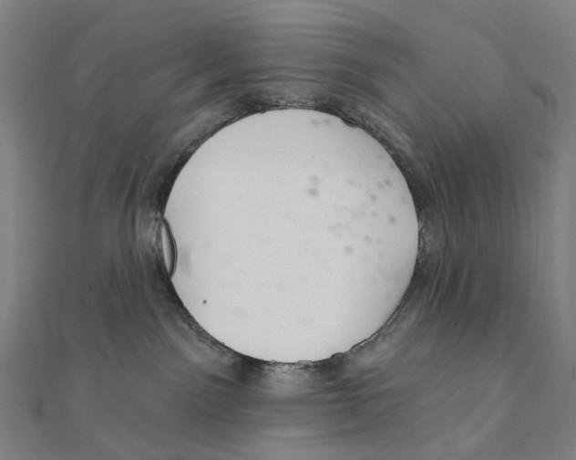 X0000111420141200908101103