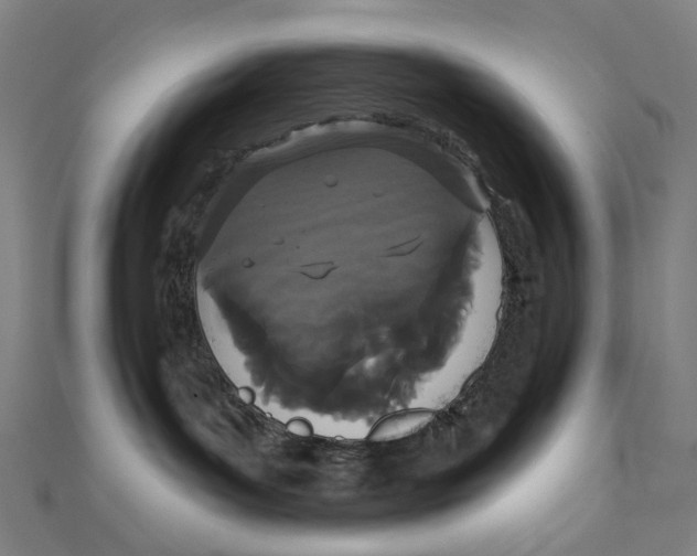 X0000111420143200908101103