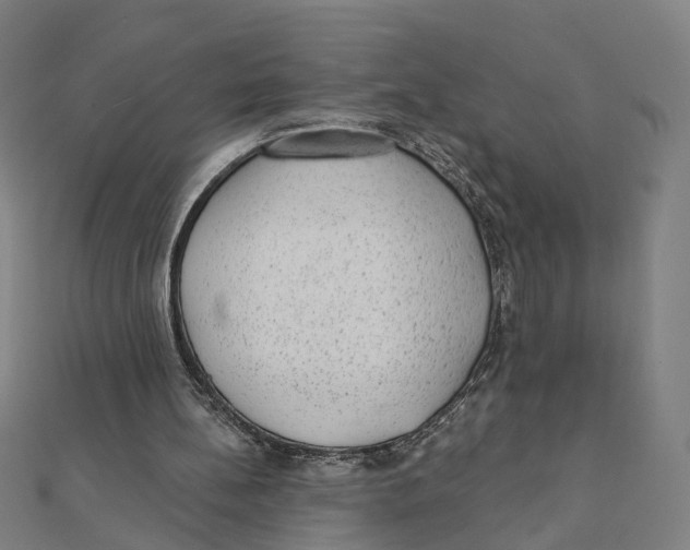 X0000111420148200908101103