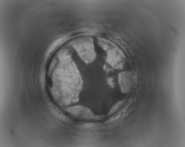 X0000111420149200908101103